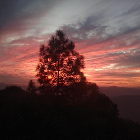 Mehra Cottage Almora Cameră foto