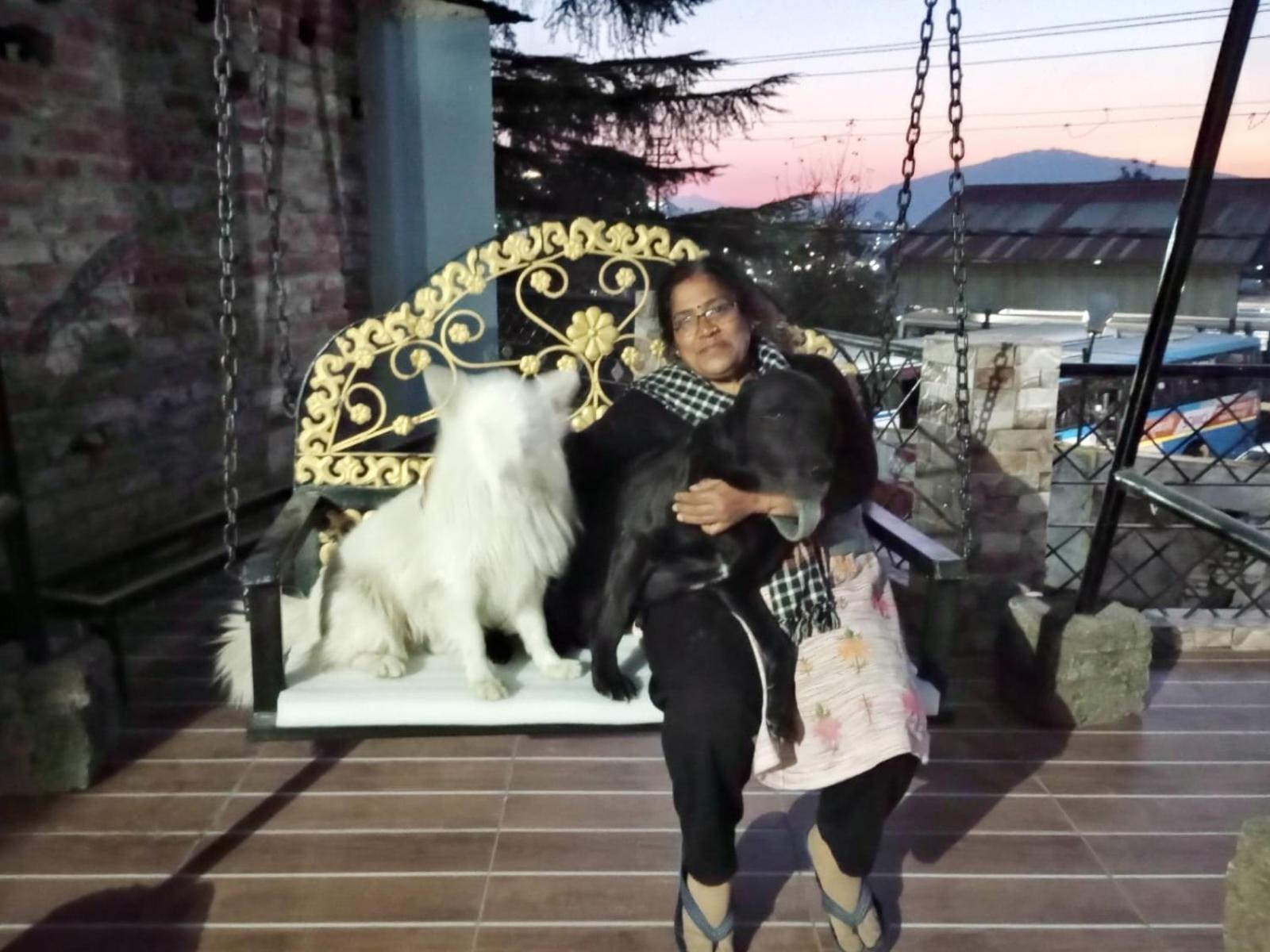 Mehra Cottage Almora Cameră foto