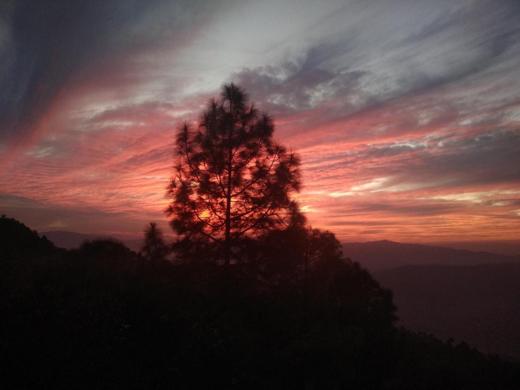 Mehra Cottage Almora Cameră foto